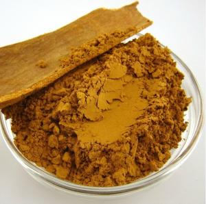 Wholesale Herb Medicine Cinnamomum Cassia Bark Extract, Cinnamomum Extract, Cinnamomum powder from china suppliers