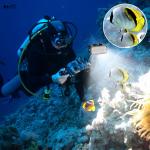 Waterproof LED Video Light High Power Dimmable Fill Night Light for Diving