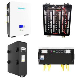 Wholesale BMS 100Ah Rechargeable Phosphate Battery Pack 3000 Cycles LiFePO4 from china suppliers