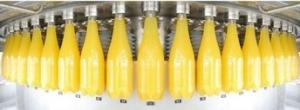 Wholesale 500 ml Beverage Juice Filling Machine Hot Filling For PET Bottle from china suppliers