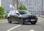 Smart System Sports Moderate Gasoline SUV 1.5T Family SUV BAIC Ruixiang