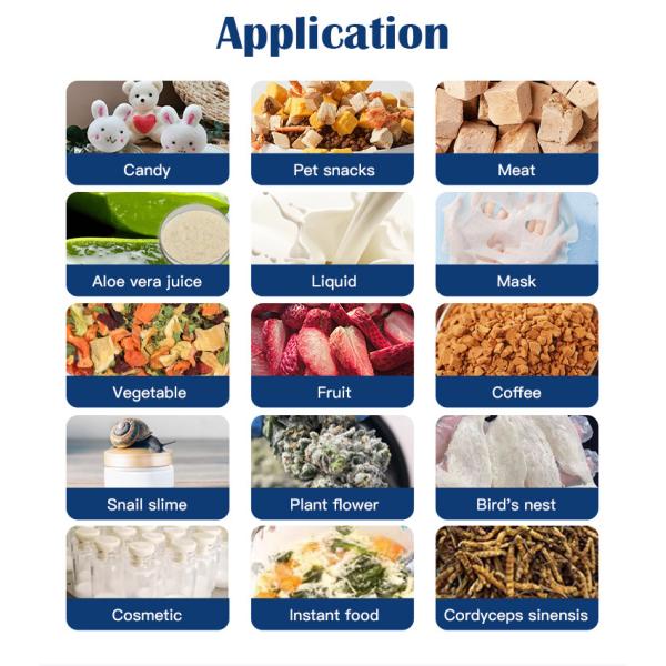 Double Compressor Vegetable Freeze Dryer Fruit Flower Vacuum Freeze Drying Equipment