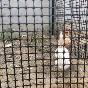 Wholesale Chinese Design Style Biaxial Geogrid Fence for Chicken Roadbed Roadbed Load Capacity from china suppliers