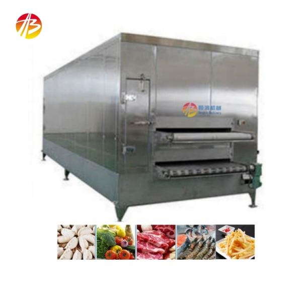 13800*3200*2500mm Tunnel Freezer for Continuous Freezing of IQF Mixed Vegetables