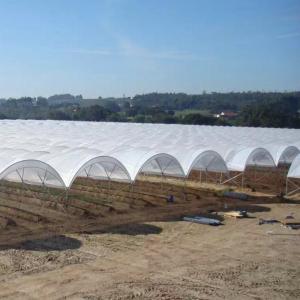 Wholesale New Design Multi Span Film Plastic Tunnel Agricultural Greenhouse Growing Different Types Berries Strawberry Blueberry from china suppliers