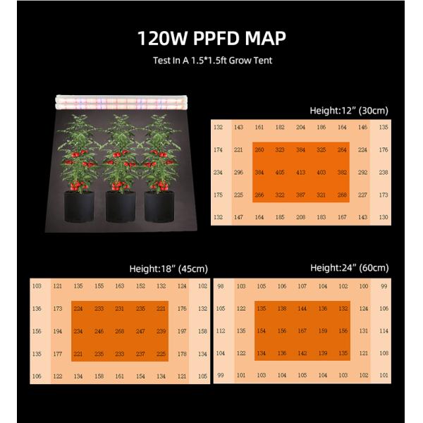 Deep Red LED Grow Light 150W Full Spectrum IP65 Waterproof LED Grow Light