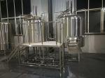 Mini Craft Brewing Equipment With Hot Water Tank , Fermentation Equipment
