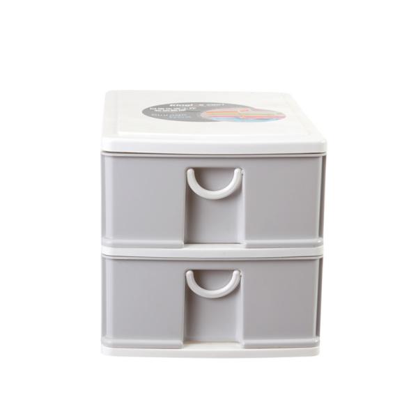 Dormitory Plastic Drawer Organizer