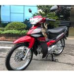China outstanding and powerful mini moped 110cc cub