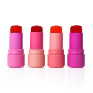 Wholesale Internet Celebrity Design 5g Lipstick Tube For All Kinds Of Red Color from china suppliers