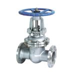 1/2''-8.0''/DN15-DN200 Stainless Steel Flanged Type Rising Stem Gate Valve for