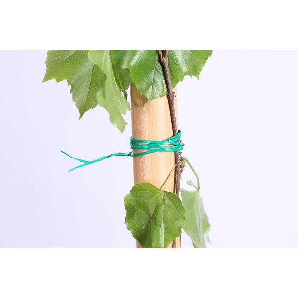 50m 100m 2mm Garden Wire Twist Tie With Cutter