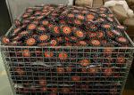 125mm OD Stringer Bead Knotted Wire Wheel Brush for Weld Preparation and