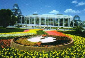 Wholesale garden clocks from china suppliers