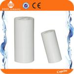 10 inch Big Blue Water Filter Housing with Brass Thread Water Filter Housing