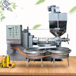 Cold Press Peanut Screw Oil Press Machine 180 - 300kg/H Capacity 22kw Power