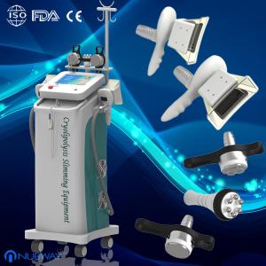 Wholesale Professional Cryolipolysis Slimming Machine For Fat removal And body shaping from china suppliers