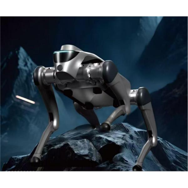 Intelligent Robot Dog With 2D LiDAR L1 Automatic Telescopic Handle Strap For Autonomous Navigation And Mapping