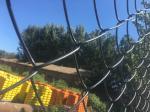 green wire mesh/hurricane fence PVC PE coated Chain Wire Hurricane Fence