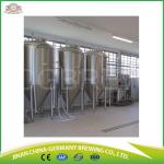 300L commercial brewery equipment for sale for pub brewing