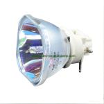 Philips DT02081 Original Bare Lamp Bulb for HITACHI CP-EW3015WN,CP-EW3551WN,CP