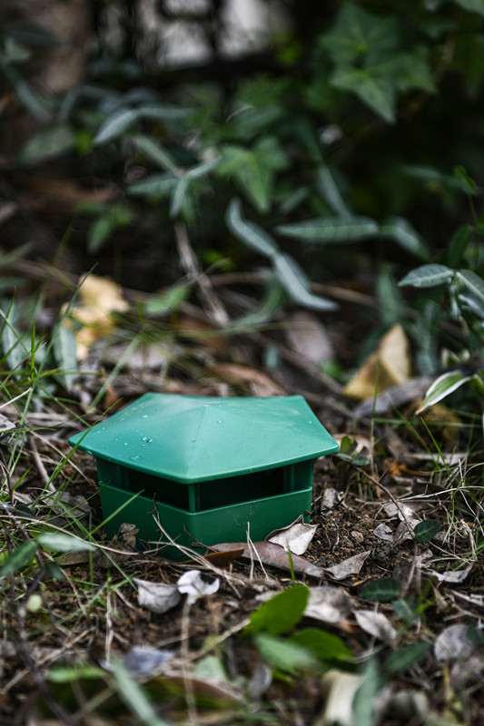 Solid Durable Plastic Garden Soil Snail Trap Box Catcher for Display