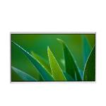14.0 inch 1366*768 HB140WX1-200 600:1 LVDS LCD Screen Panel