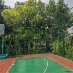 9 Gauge Chain Link Wire Fence With 2"Mesh,7ft x 30ft Basketball Field