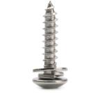 Customized Cross Recessed Pan Head Tapping Screw And Plain Washer Assembly