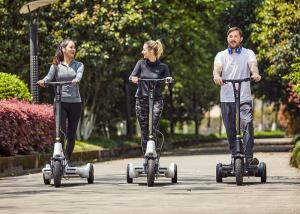Wholesale Precursor Driving 30KG Waterproof Electric Scooter from china suppliers