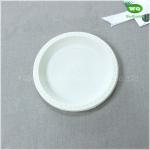 Biodegradable Corn Starch Plastic Plate 6 Inch,Easy Green Bioplastic Plate 7inch