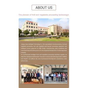 1500KG Dates Deseeding Machine Tunrkey Project Dates Processing Machinery