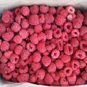 Wholesale 2020 Hot Sell IQF Raspberry Whole 95/5 from china suppliers