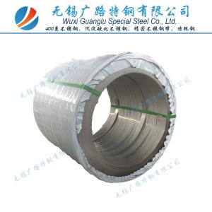 Wholesale EN 1.4037 DIN X65Cr13 Cold Rolled Precision Stainless Steel Strip In Coil from china suppliers