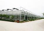 4mm / 5mm Glass Covering Glass Greenhouse Kit , Forest Garden Greenhouse For