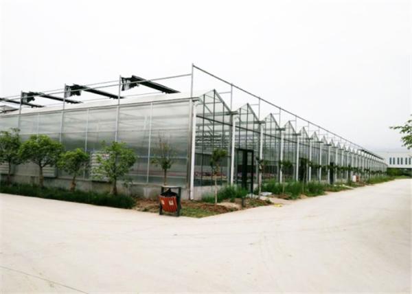 4mm / 5mm Glass Covering Glass Greenhouse Kit , Forest Garden Greenhouse For