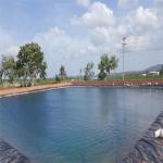 Fish Farm Pond Liner HDPE Geomembrane 1mm 1.5mm 2mm with and Industrial Design