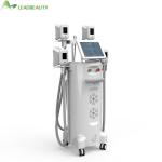 Cryolipolysis Fat Removal System Professional Fat Freeze Equipment Cryo Fat