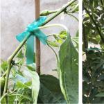 Green Color Marking Nylon Cable Tie Glue Plastic Binding Tie Warning Tape