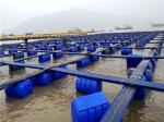 Farming Machinery Freshwater Fish Culture Cage Pontoon Customized