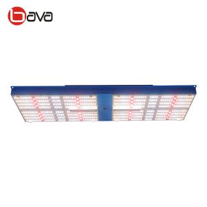 Wholesale Sunlike Full Spectrum SAMSUNG LM301B Panel Oslon 660nm LED Grow Light Kits from china suppliers