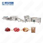 High Speed Potato Processing Machine Food Washer Dryer Machine