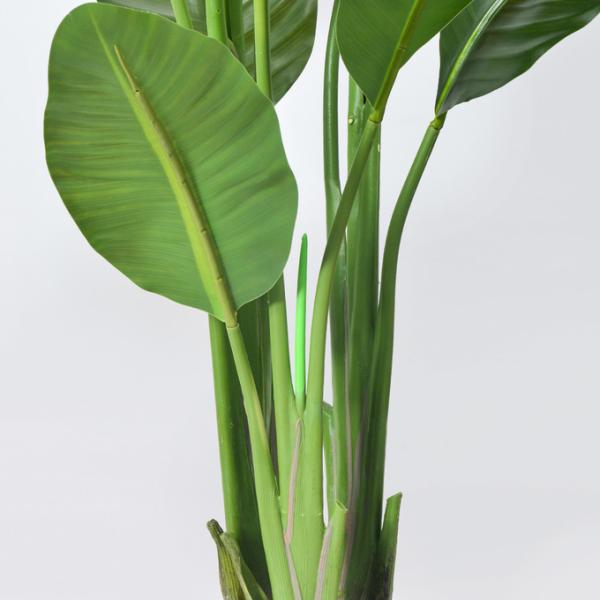 H160cm Artificial Traveller's Palm Customized Decorated For Store Office Corner Home Decor