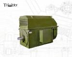 YKS450-2 Three Phase Asynchronous Motor High Voltage Electric Induction Motors