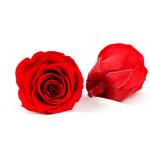 Handmade 5-6cm Diameter Immortal Rose Flower For Mothers Day Gift