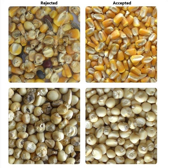 High Technology Color Sorting Machine For Wheat Grain Beans Color Sorting
