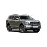 R19 Tire Size Tank 500 Large SUV Second hand 0km Car with Automatic Air