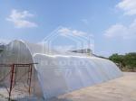 Drying Greenhouse with UV Protection and Ventilation for Herbs Vegetables and