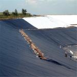 Flexible Geomembrane Liners for Fish Farm Pond/Dam/Landfill/Water Conservancy