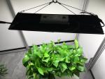 Minimalist Design 240W 2.7umol/J UV LED Grow Lights